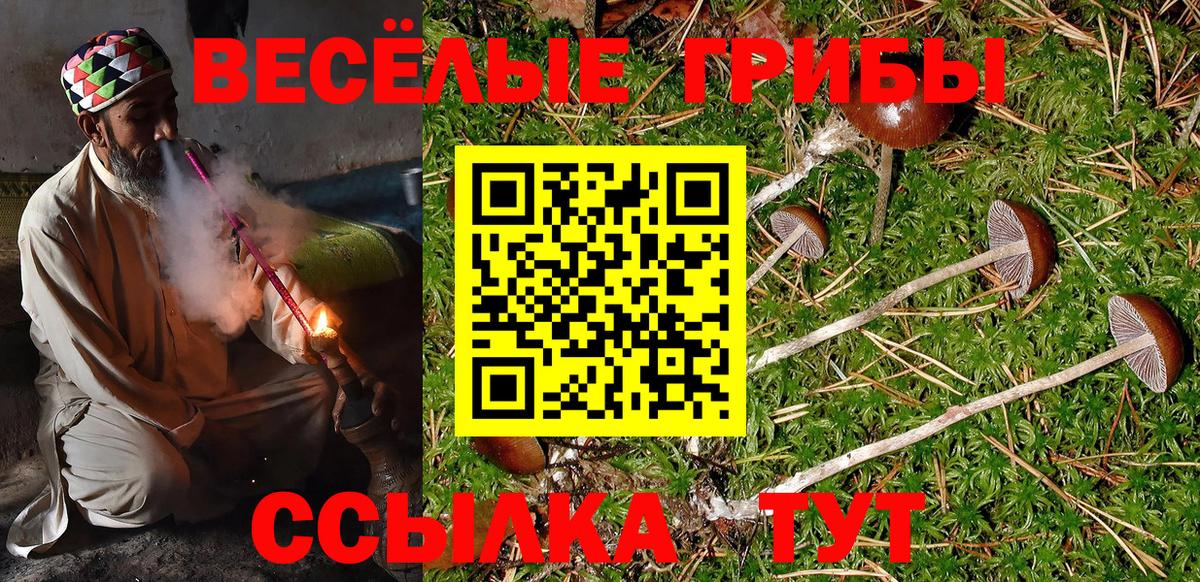 Псилоцибиновые грибы GOLDEN TEACHER Черкесск