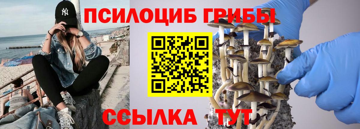 Галлюциногенные грибы GOLDEN TEACHER  Псилоцибиновые грибы MAGIC MUSHROOMS  Вход с VPN  Черкесск 
